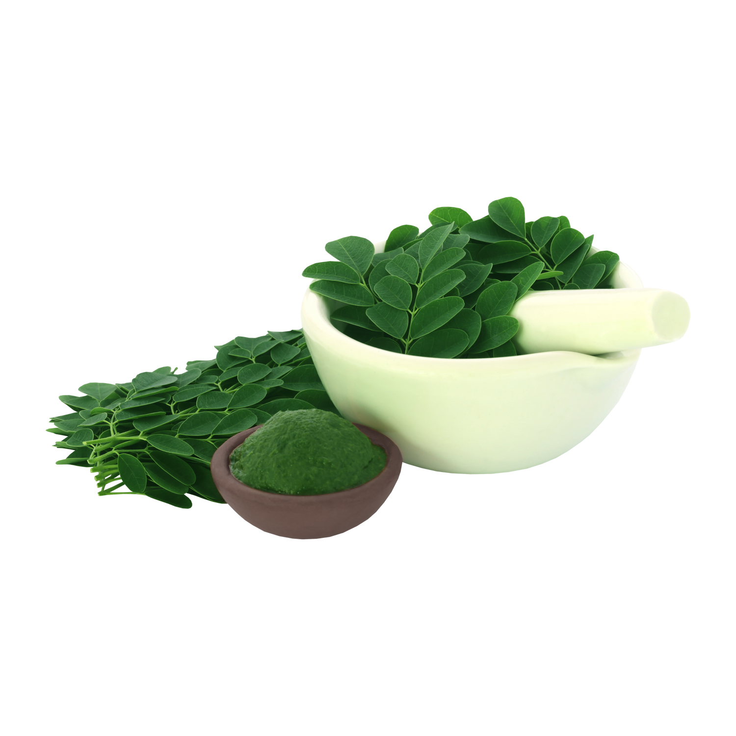 Moringa